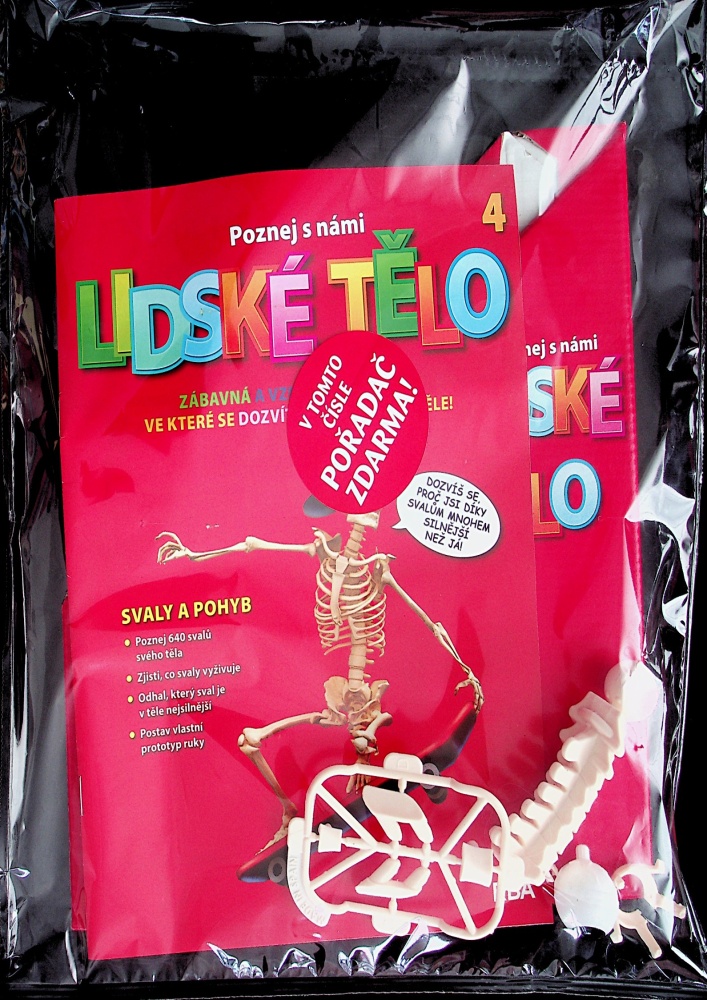 Lidské tělo (4/23)