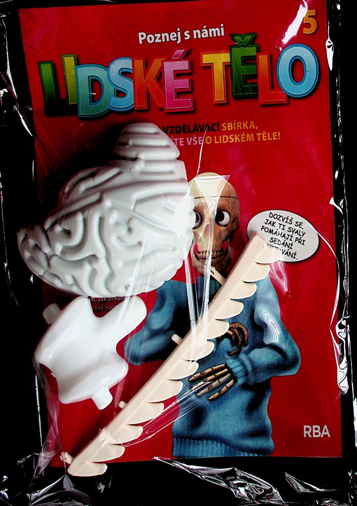 Lidské tělo (5/23)