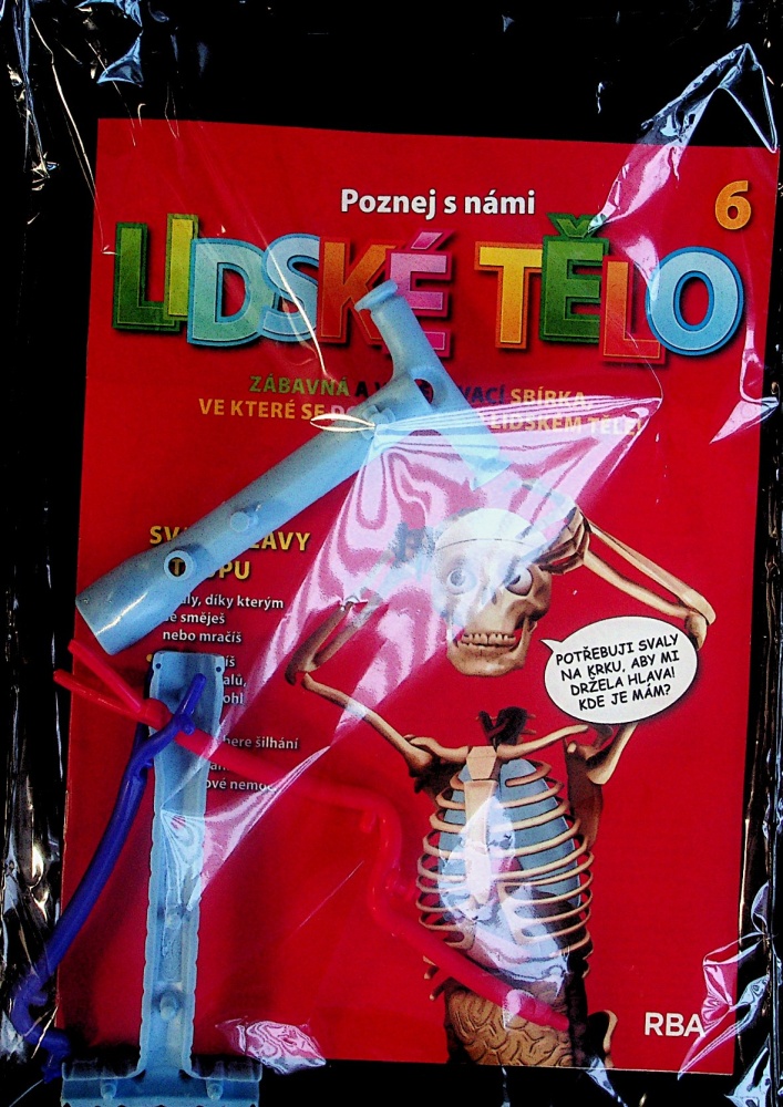 Lidské tělo (6/23)