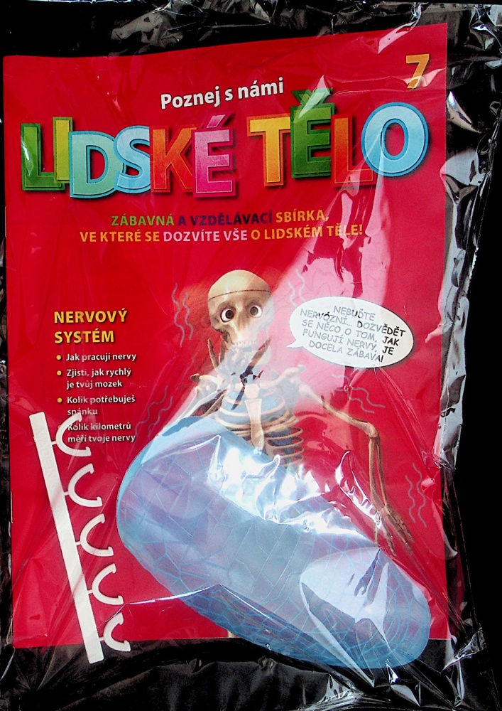 Lidské tělo (7/23)