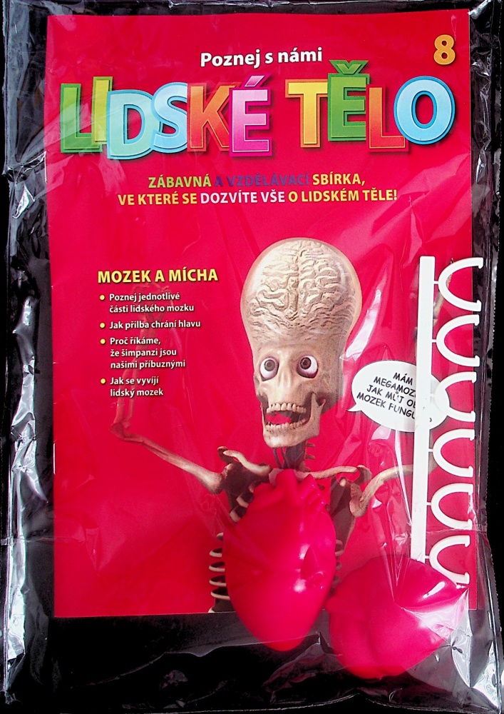 Lidské tělo