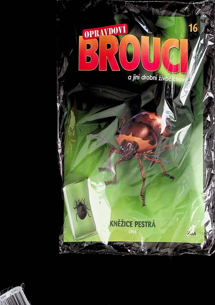 Opravdoví brouci (16/23)