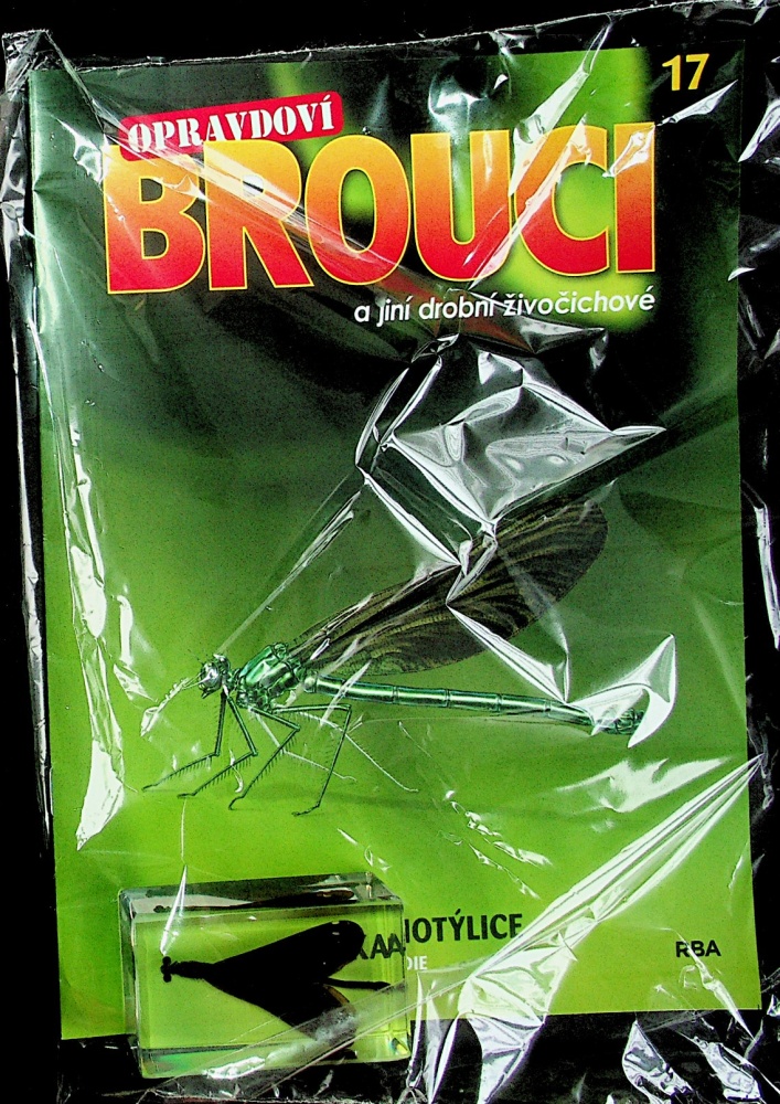 Opravdoví brouci (17/23)