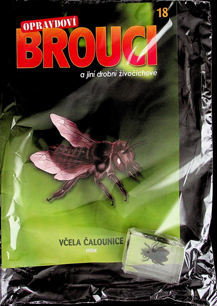 Opravdoví brouci (18/23)