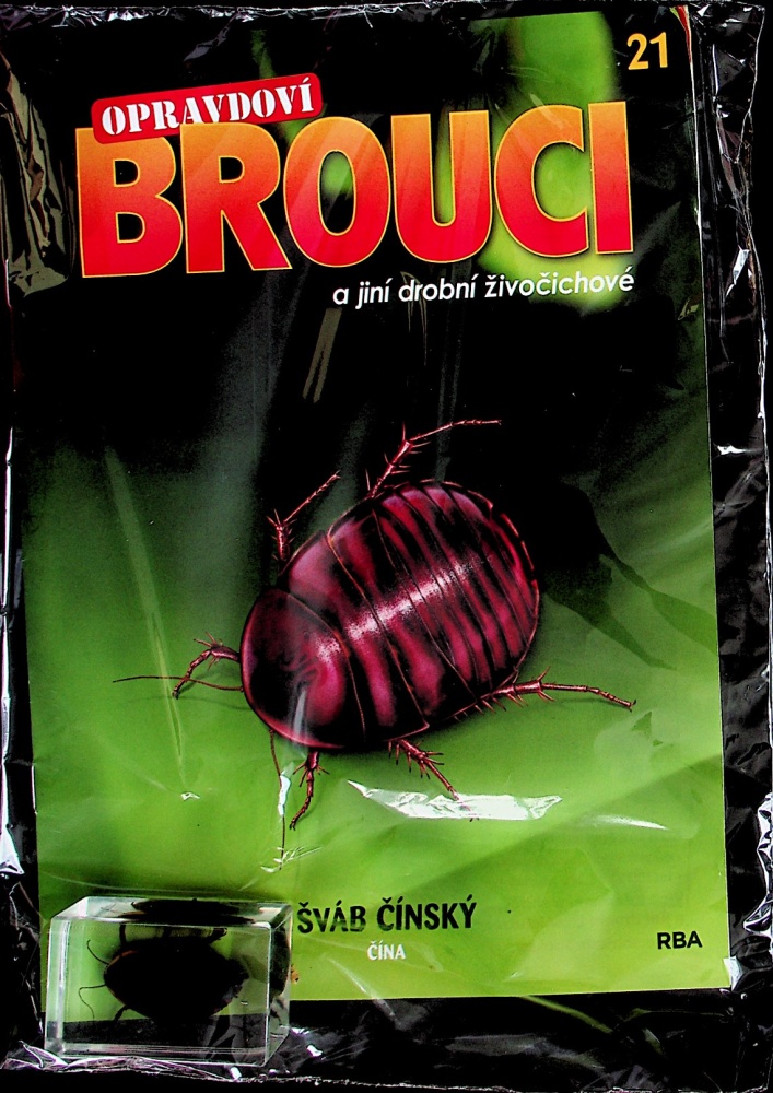 Opravdoví brouci (21/23)