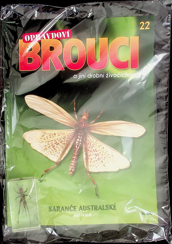 Opravdoví brouci (22/23)