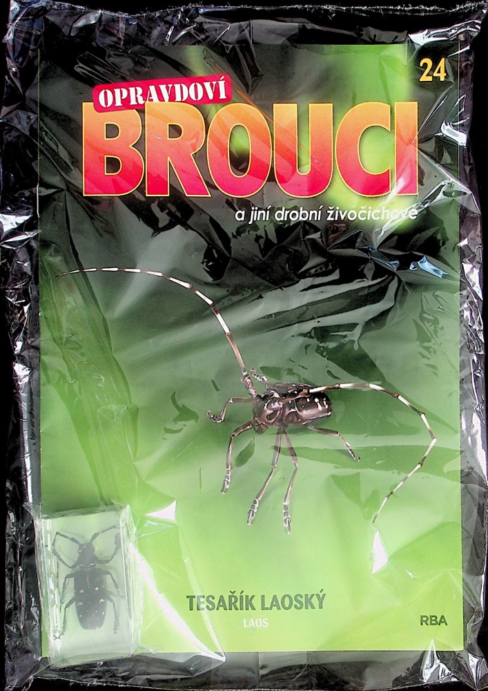 Opravdoví brouci (24/23)