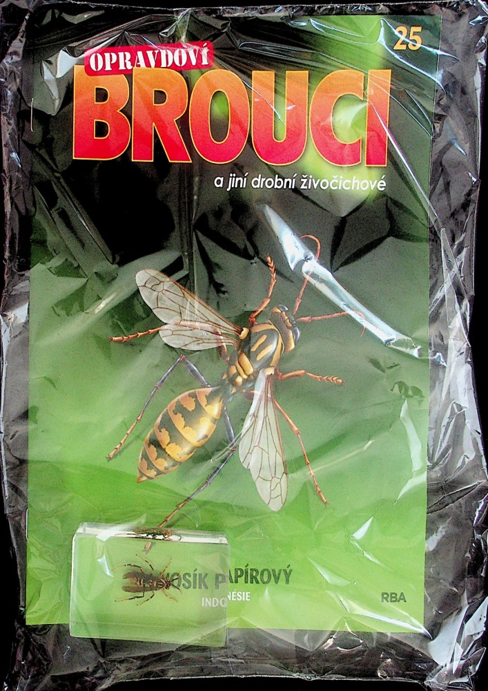 Opravdoví brouci (25/23)