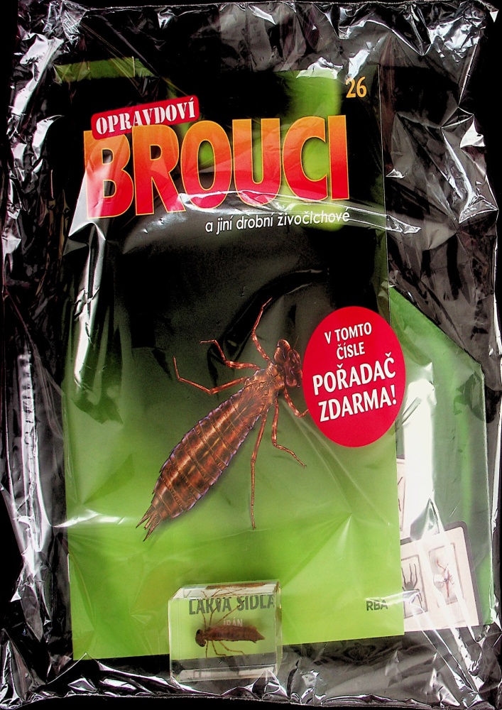 Opravdoví brouci (26/23)