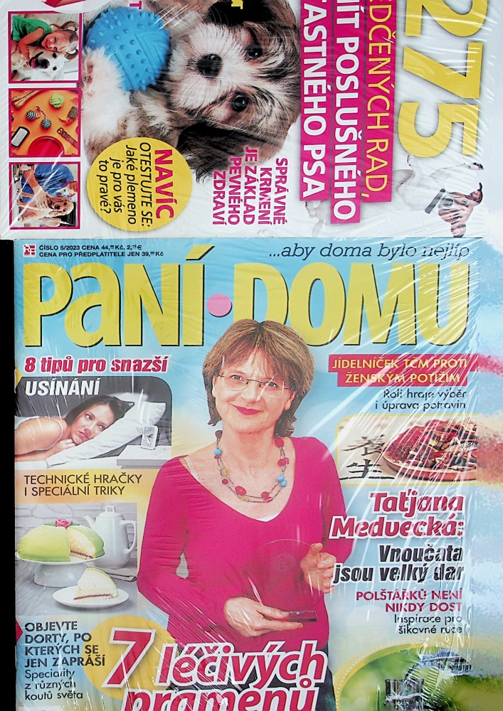 Paní domu